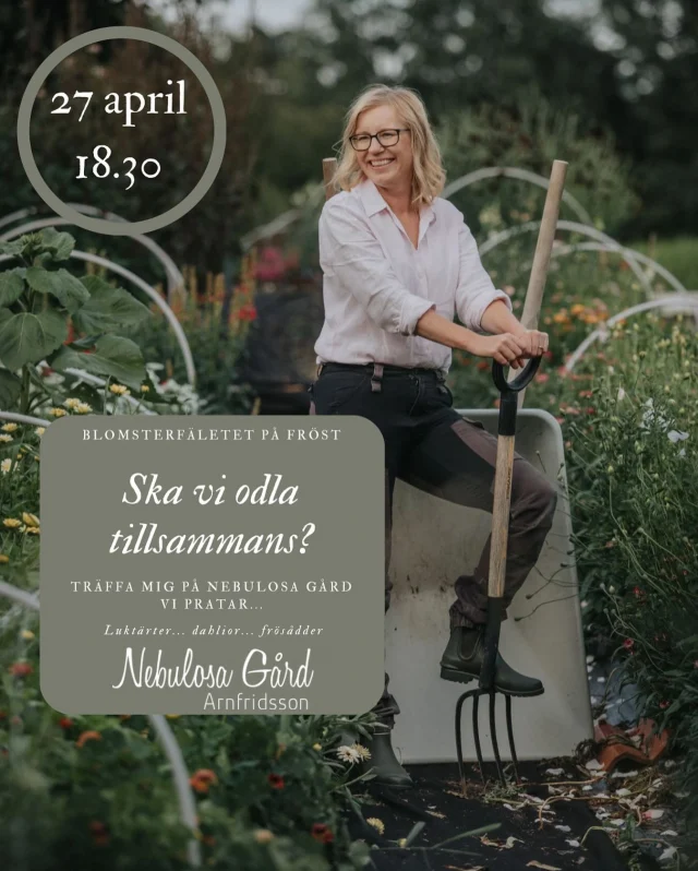 🌸🌸🌸B L O M S T E R K V Ä L L 🌸🌸🌸
på Nebulosa gård

Nu bjuder jag och Susanne in till en kväll där vi pratar trädgårdens alla blommor med ambitionen att fylla husets alla vaser ända fram till frosten.

Nu i april pratar vi förodling av dahlior, direktsådder och vad för perenner som passar bäst till snittblommor. Så klart kommer vi att hinna med att prata om jorden, näring och de bästa förutsättningarna för att få en fortsatt lyckad odlingssäsong.
Vi har begränsat med plats så boka omgående med ett DM till mig eller Susanne på 070-299 59 18.

Söndagen den 27 april kl 18.30
195 kr inkl gofika