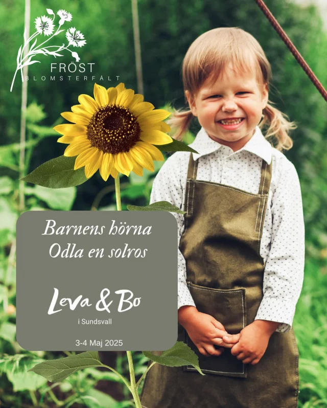 I samarbete med @impecta.se och @granngarden.sundsvall 

Odla & barn! Så självklart kan bara inte bli. Här kan alla barn prova på att göra egna krukor, fylla med jord för att sedan så ett frö. Enklare kan det inte blir. 

Solrosor är den bästa gröda att lära sig odla från grunden. Lätta att gro, växer snabbt och kan bli väldigt höga eller små och luddiga. Bästa sättet att skapa ett livslångt intresse för odling. 

Varmt välkomna till barnbordet i vår monter på @levaochbomassan